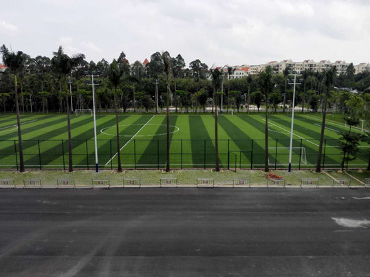 僑洋伙伴到客戶公司學(xué)習(xí)參觀