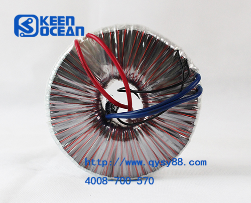 僑洋實(shí)業(yè)環(huán)型變壓器