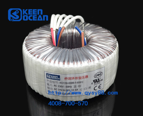 環(huán)形變壓器 環(huán)形變壓器