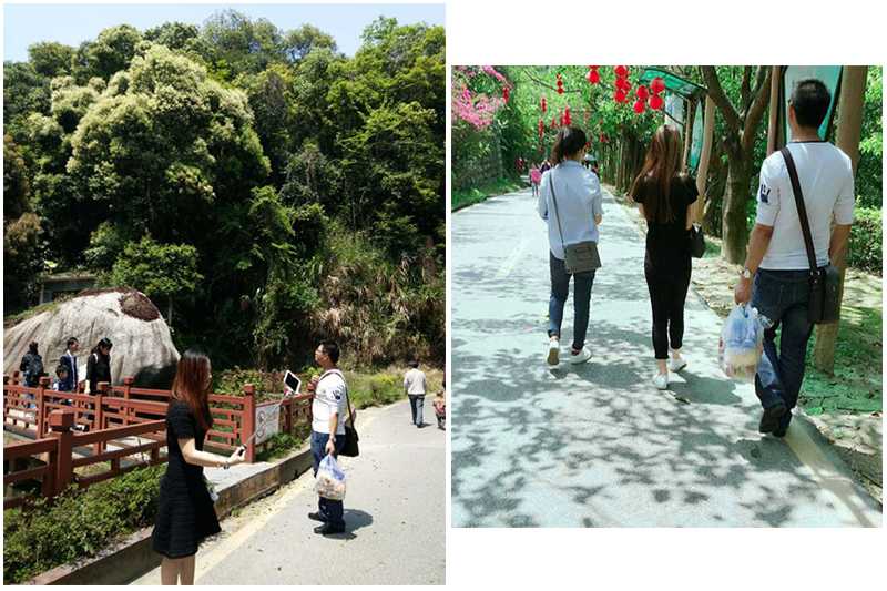 僑洋實(shí)業(yè)小伙伴來一場說走就走的清明一日游 僑洋實(shí)業(yè)小伙伴來一場說走就走的清明一日游