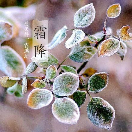 2017年霜降來(lái)臨，冬季將來(lái)了。