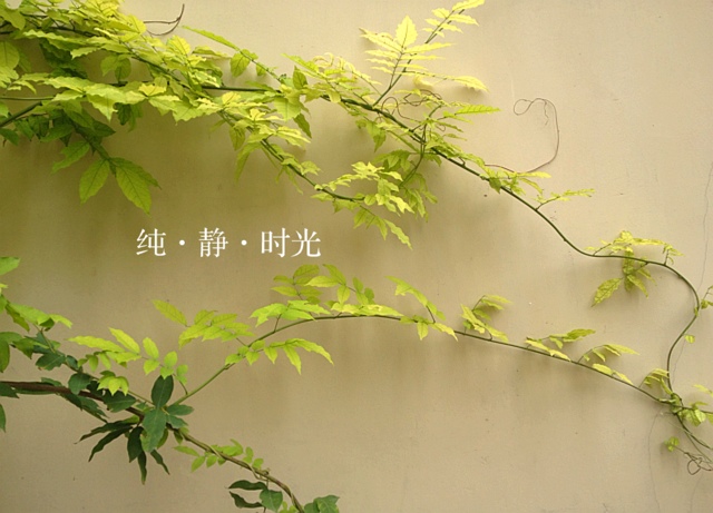 周末時光到來，好好去放松吧！