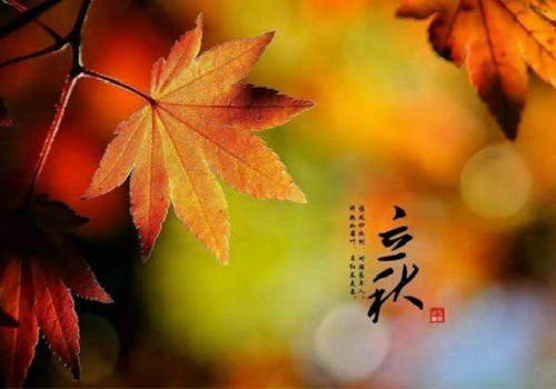 立秋已到，僑洋實(shí)業(yè)小編提醒你酷暑即將結(jié)束咯！