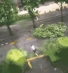 臺(tái)風(fēng)山竹那些暖心的背影。