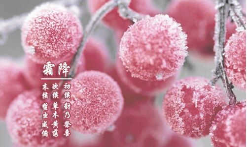 霜降已到，冬天還會遠嗎？