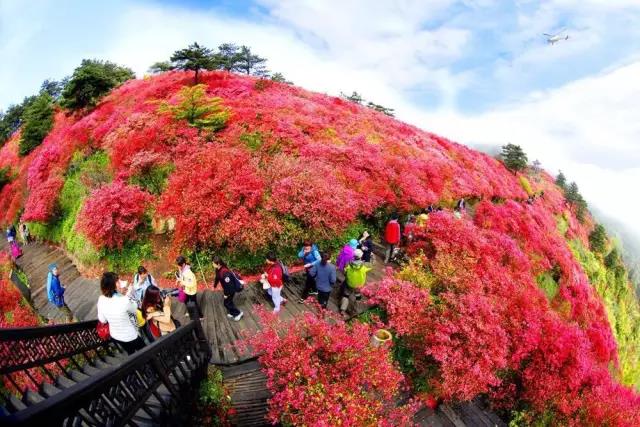 風(fēng)里，雨里，在等你