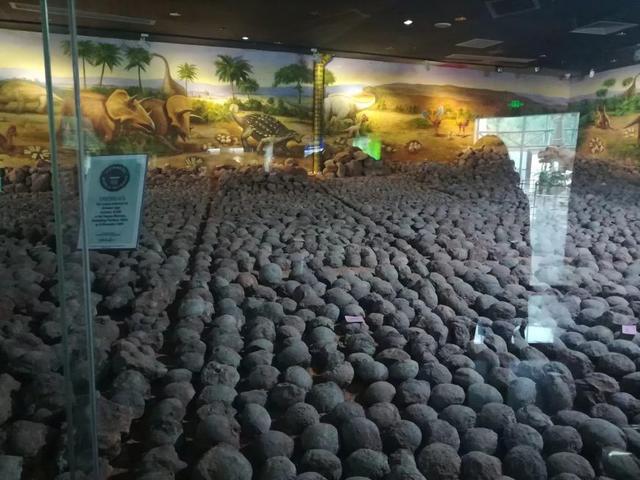 國(guó)際博物館日，僑洋實(shí)業(yè)環(huán)形變壓器廠家與您有個(gè)約會(huì)