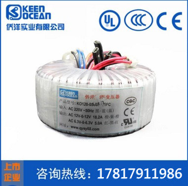 僑洋環(huán)形變壓器品質保障 僑洋環(huán)形變壓器品質保障