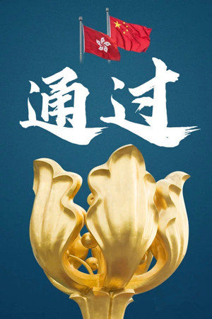 香港安全法經(jīng)決議全票通過(guò) 香港安全法經(jīng)決議全票通過(guò)